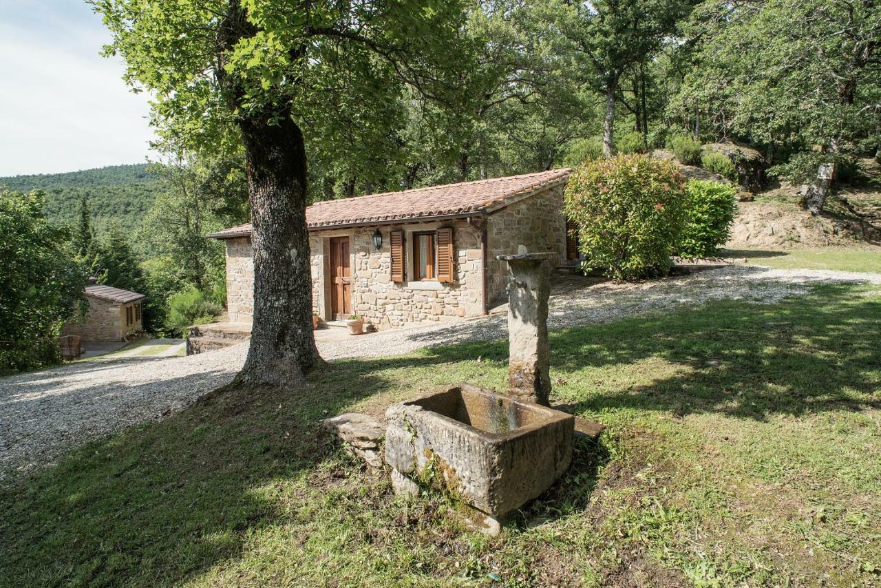 בית הארחה Mercatale  	Casa Rancacci מראה חיצוני תמונה